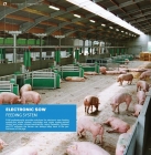 ELECTRONIC SOW FEEDING SYSTEM